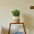 Ceramic Woven Basket Effect Indoor Plant Pot with Tassels - Gardenesque