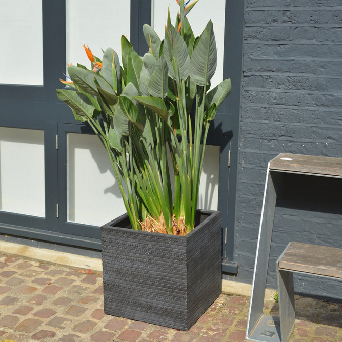 Charcoal Grey Square Plant Pot - Outdoor Lightweight Planters - 4 Sizes - Gardenesque