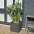 Charcoal Grey Square Plant Pot - Outdoor Lightweight Planters - 4 Sizes - Gardenesque