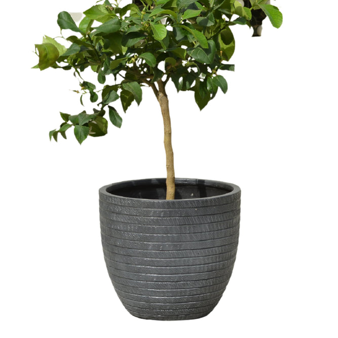 Charcoal Grey Circular Plant Pot – Outdoor Lightweight Planters – 27cm at Gardenesque