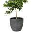 Charcoal Grey Circular Plant Pot – Outdoor Lightweight Planters – 27cm at Gardenesque