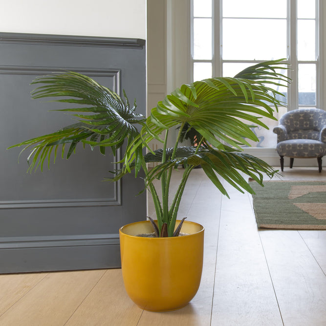 Indoor tree pot discount