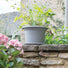 Essentials Eco Grey Cylinder Pots - 5 Sizes, Multipacks - Gardenesque