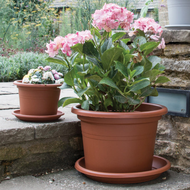 Essentials Eco Terracotta Cylinder Pots - 5 Sizes, Multipacks - Gardenesque