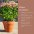 Gardenesque Essentials Large Terracotta Plant Pots - 4 Sizes