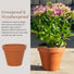 Gardenesque Essentials Large Terracotta Plant Pots - 4 Sizes
