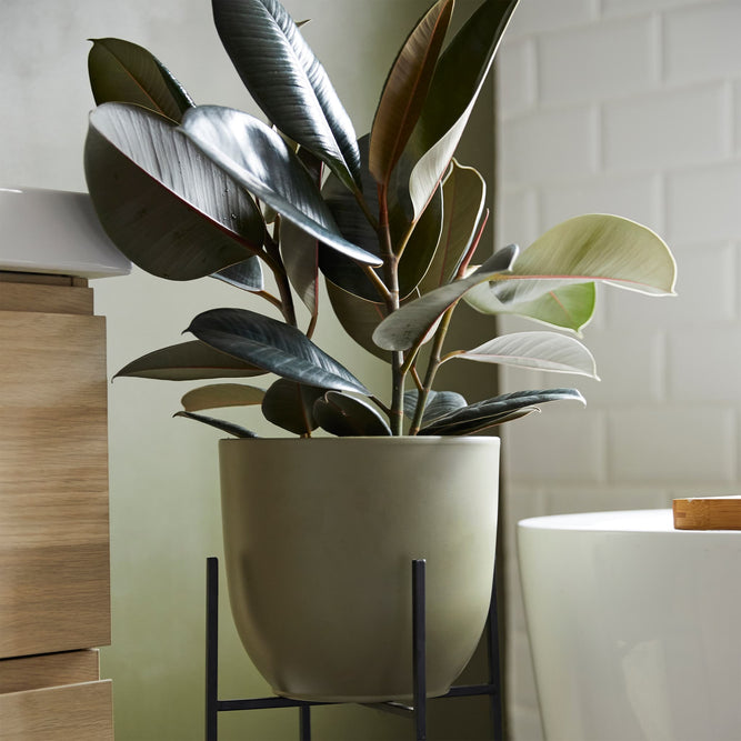 green ceramic plant pot