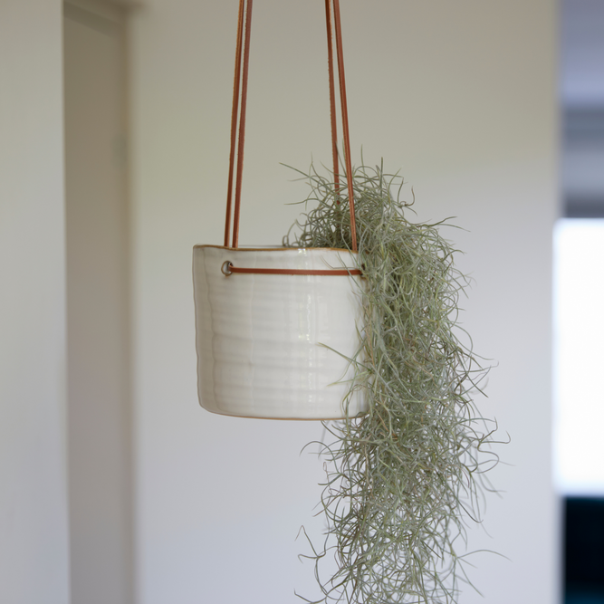 Hanging Indoor White Ceramic Plant Pot - 14cm