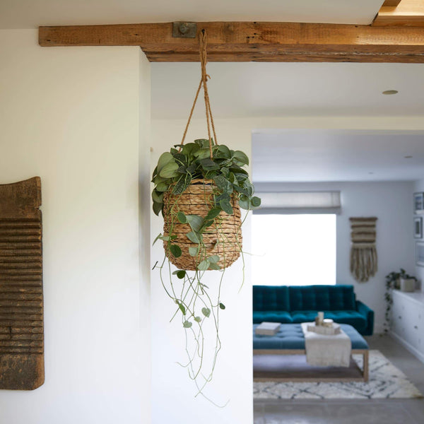 Hanging Woven Indoor Plant Pot - 3 Sizes