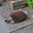 Hedgehog Boot Scraper in Cast Iron at Gardenesque