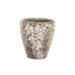 Indoor Plant Pot Textured Stone - Ancient Collection -12cm at Gardenesque