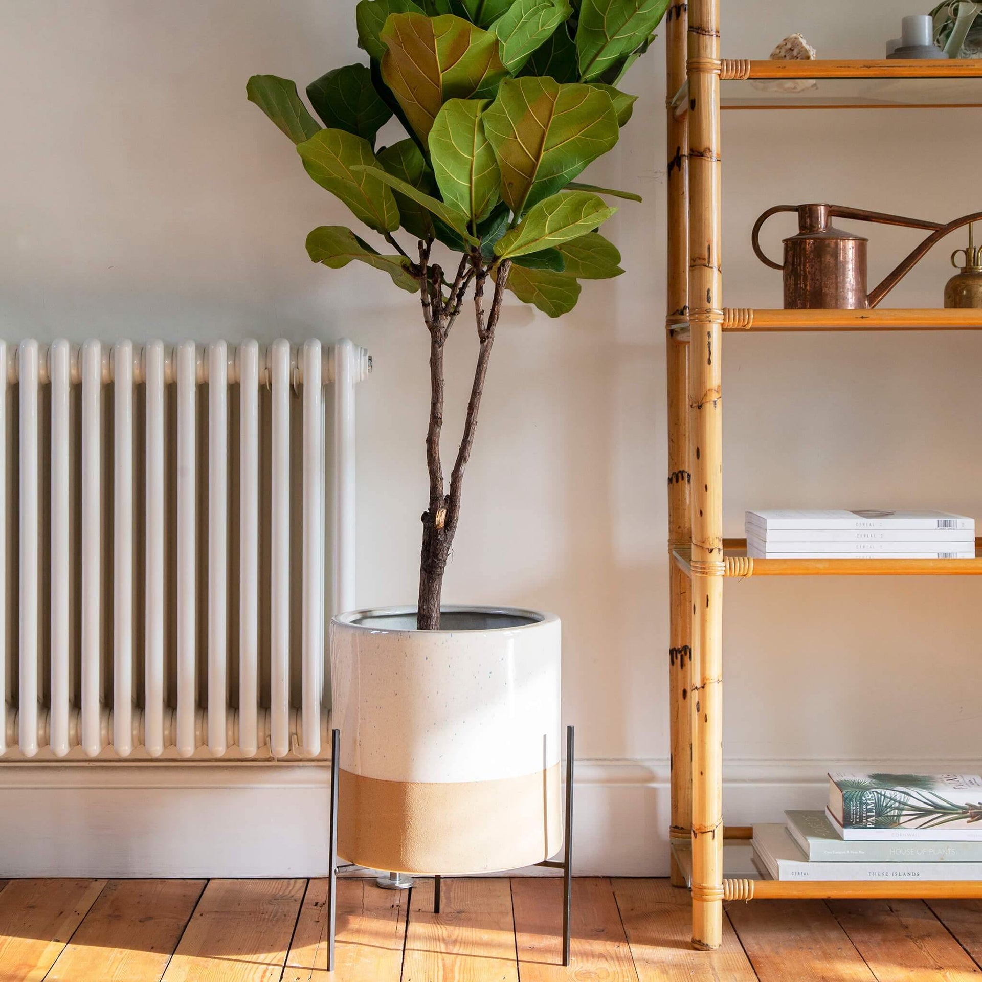 Farrer Speckle Indoor Plant Pot & Stand