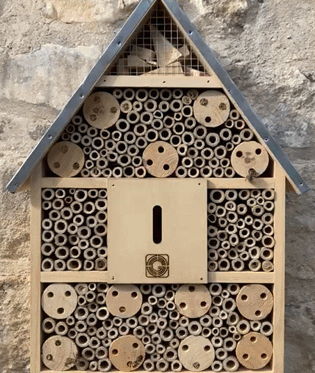 wooden insect house