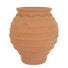 large terracotta plant pot