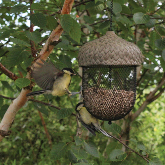 Hanging Acorn Bird Feeder large