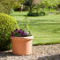 large round plastic terracotta pot