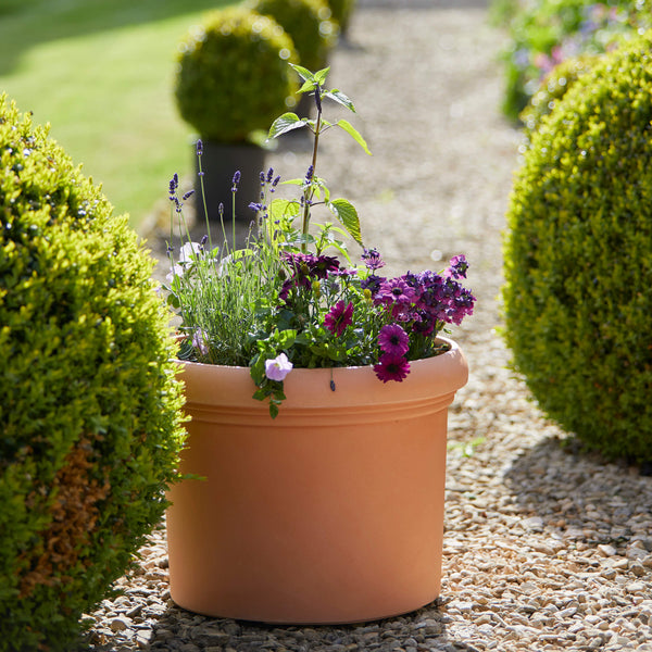 large round plastic terracotta garden pot