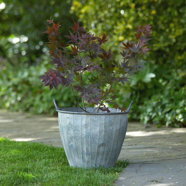 Ellham Metal Slatted Bucket Planter with Handles at Gardenesque