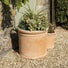 Cylinder Terracotta Plant Pot - Orson - 4 Sizes & Multipacks at Gardenesque