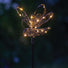 Outdoor Solar Light Garden Stake - Dragonfly at Gardenesque
