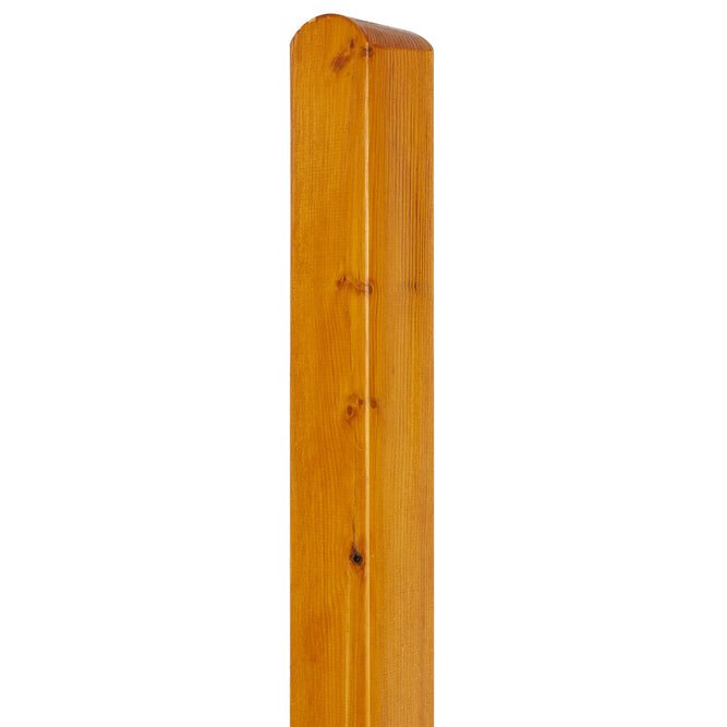 pine fence posts