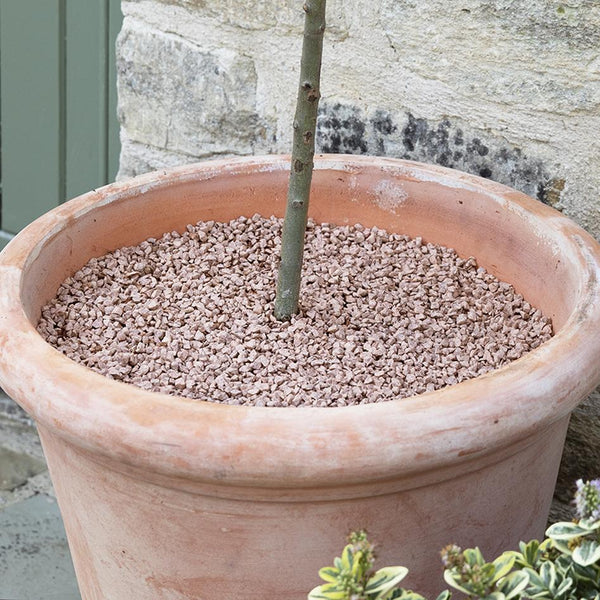 Decorative Alpine Red Flame Gravel & Pot Toppers - 6mm - Gardenesque