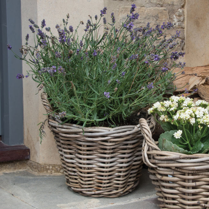 Handled Round Wicker Basket Plant Pot with Waterproof Lining