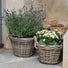 Handled Round Wicker Basket Plant Pot with Waterproof Lining