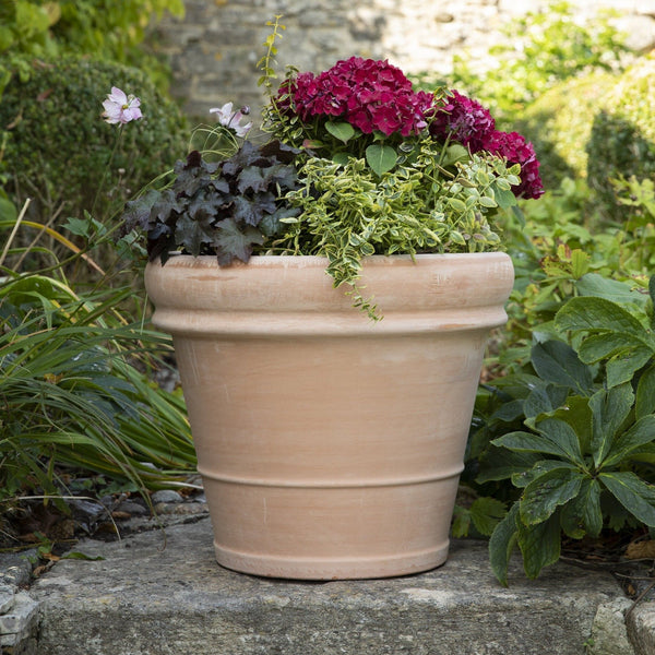 Extra Large Terracotta Pots - Bordo - 2 Sizes at Gardenesque