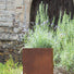 Rust Effect Square Garden Planter - 4 Sizes at Gardenesque