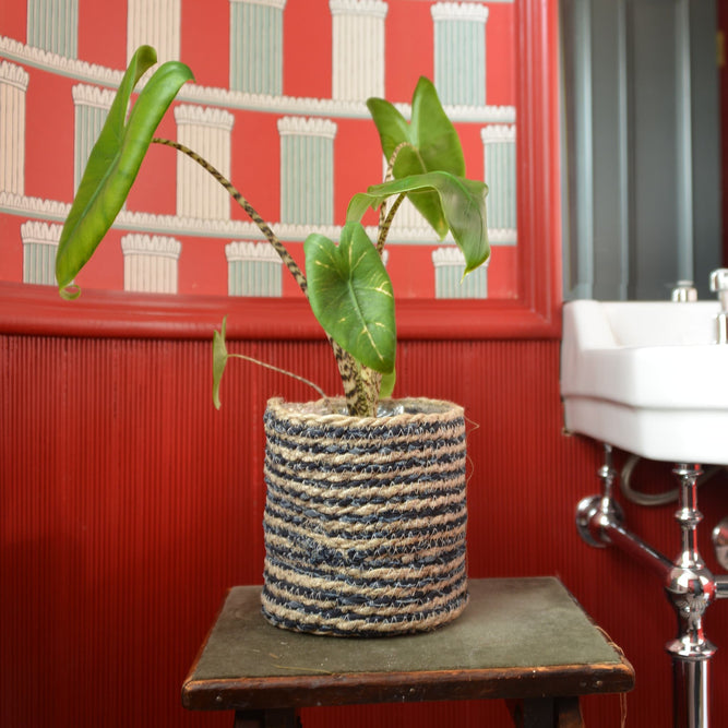 Seagrass Basket Indoor Plant Pot - Denim & Natural Stripes at Gardenesque