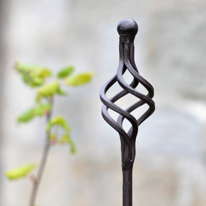 Small Cage metal Plant Support - 5ft (155cm) available at gardenesque