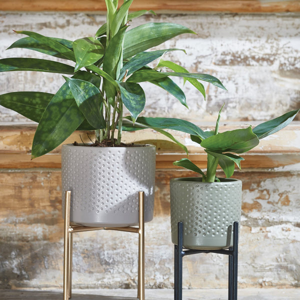 Tall Metal Indoor Plant Pot Stand - Black & Gold - Gardenesque