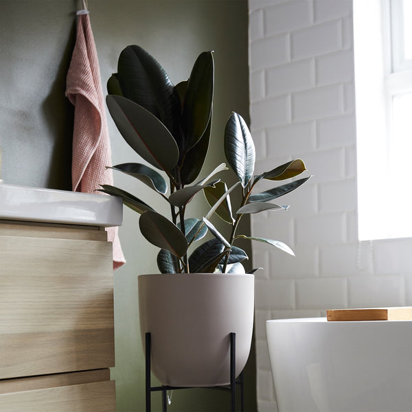 taupe ceramic plant pot