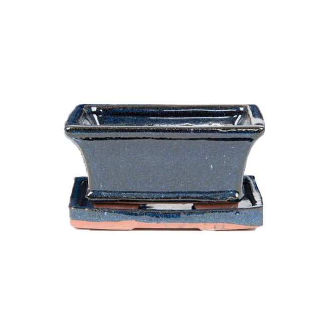 Tenmei Rectangular Dark Blue Bonsai Tree Plant Pot & Saucer 22cm at Gardenesque