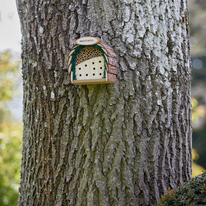 wooden insect hotel