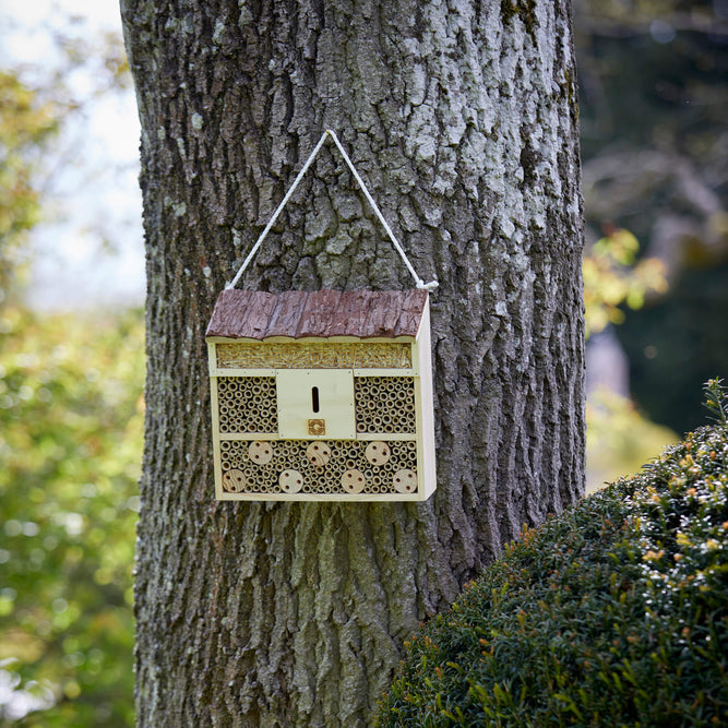 wooden insect house