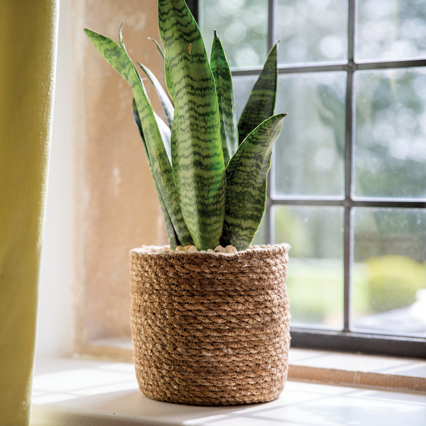 woven basket plant pot for indoors at gardenesque