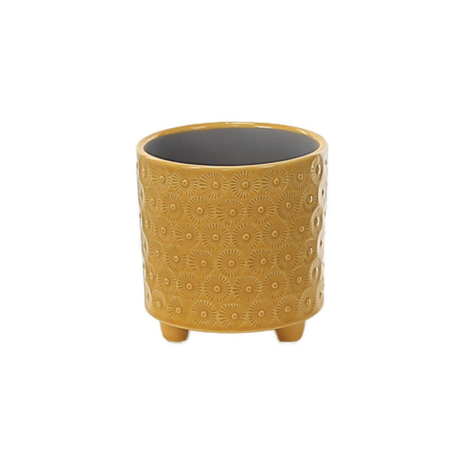 Delany Daisy | Indoor Plant Pot