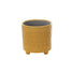 Delany Daisy | Indoor Plant Pot