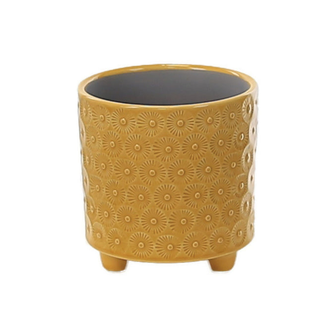 Delany Daisy | Indoor Plant Pot