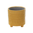Delany Daisy | Indoor Plant Pot